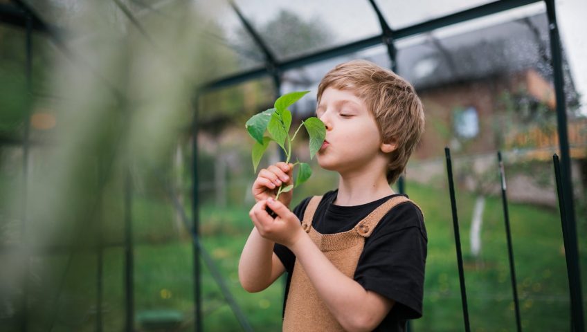 diy greenhouse locally sourced glass